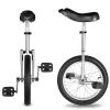 16in Wheel Unicycle Chrome
