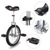 16in Wheel Unicycle Chrome